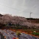 시작이반이다