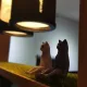 우야