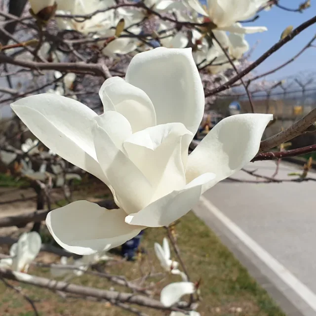 따스한