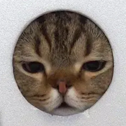 응애기러기