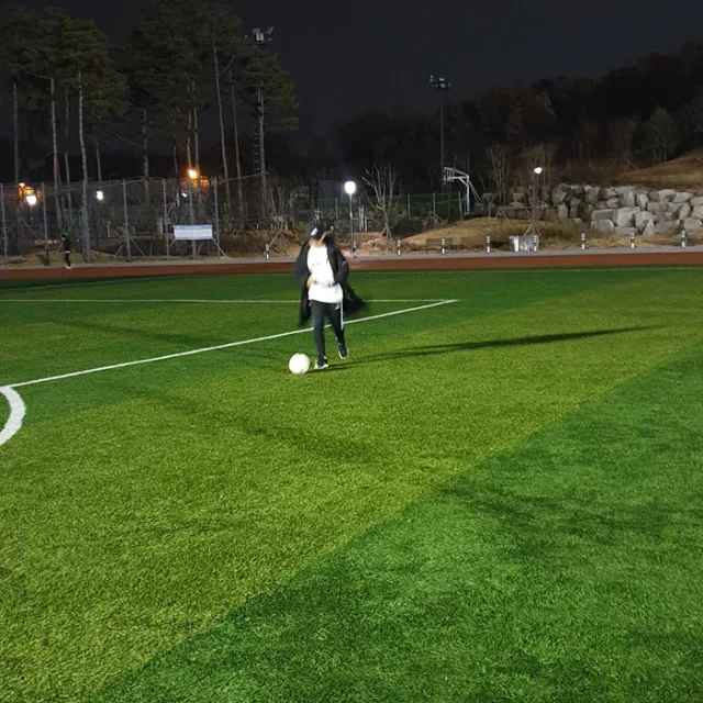 별나라왕