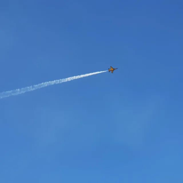 당근죠앙