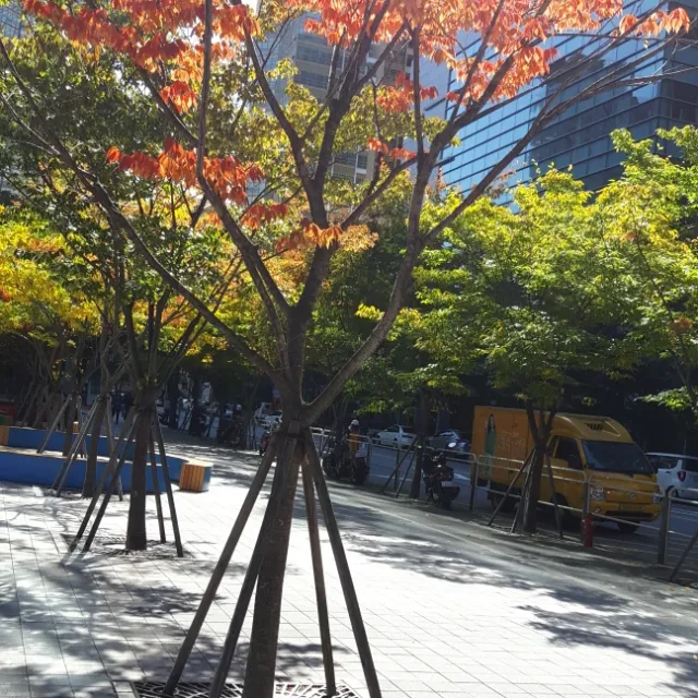 사랑