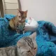 쌀보리콩이
