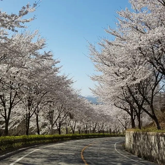 숑더기486