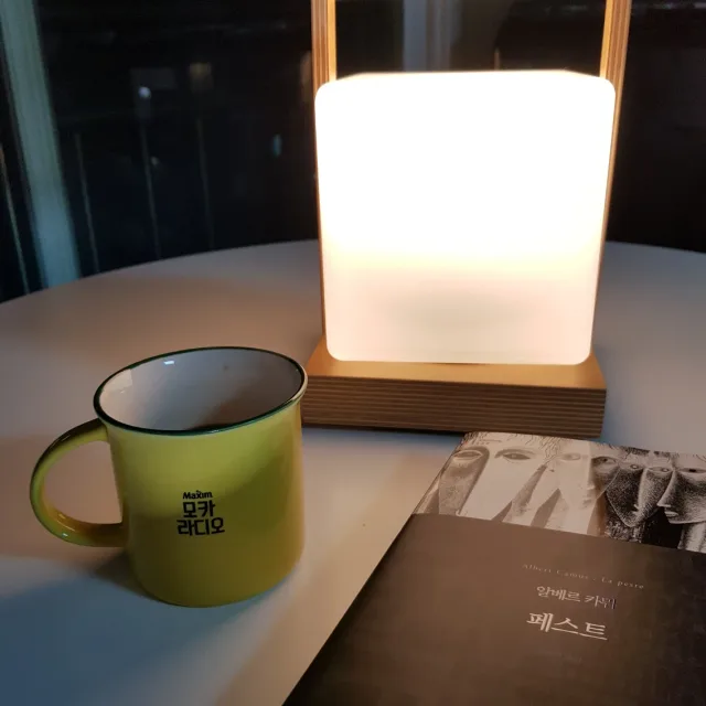 안비