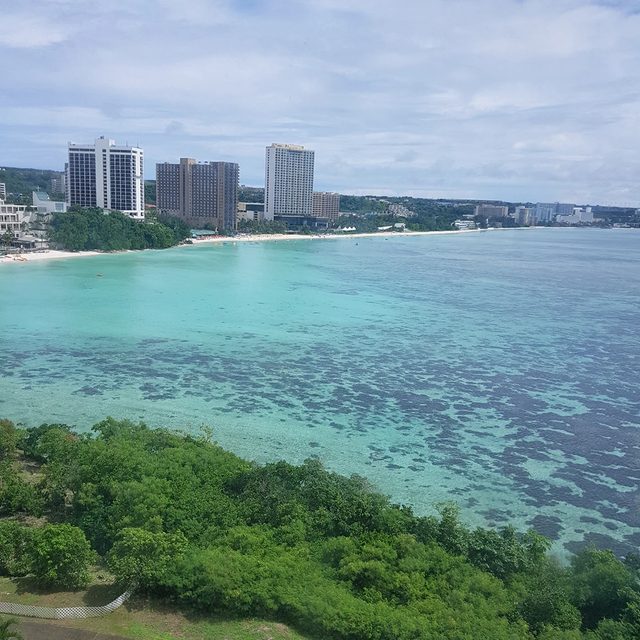 오후의발견