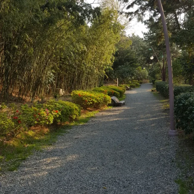 돈뿌리