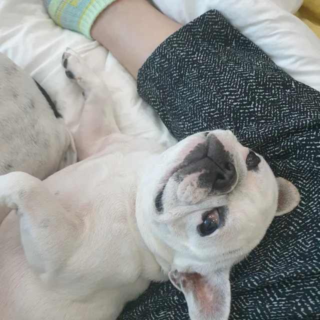 앞산지기