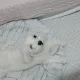 헤로
