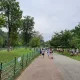 piaoliang