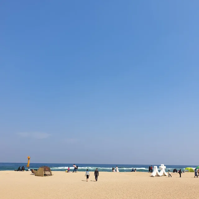 송파래