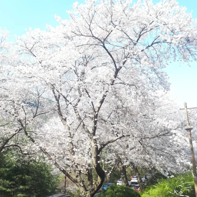 행복한땡빵맘