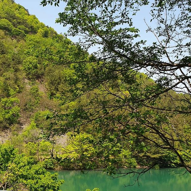 물댄동산