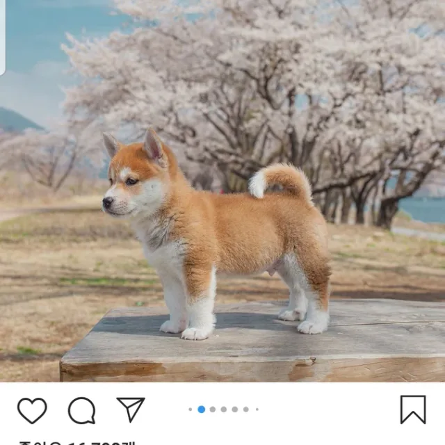 효뭉