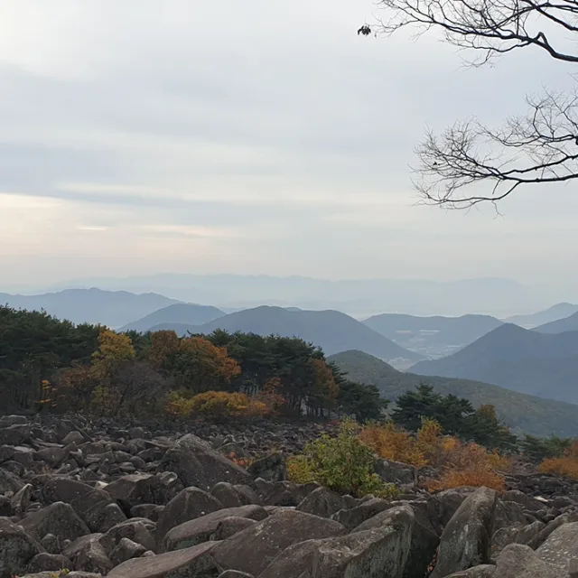 후즈네집