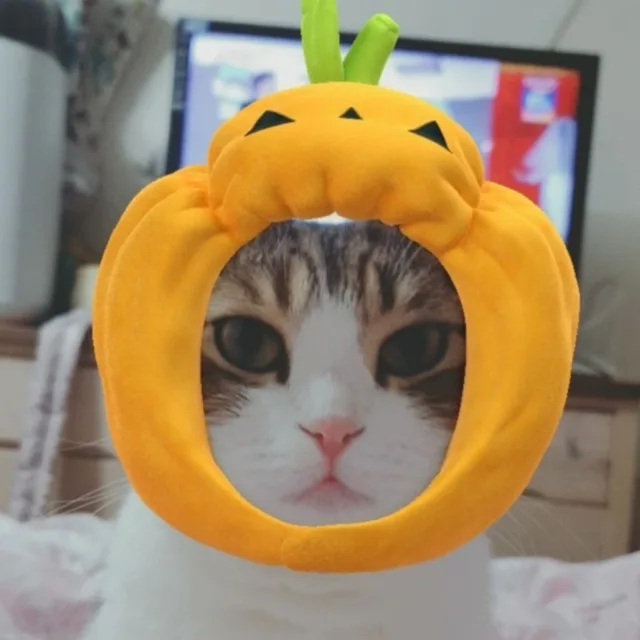 쿠키요미