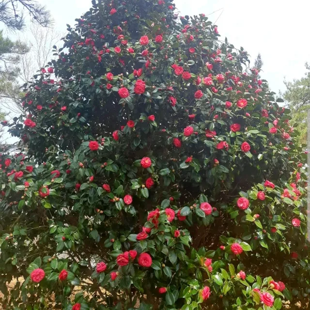 깨끗하게살자