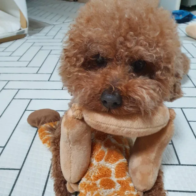 이응