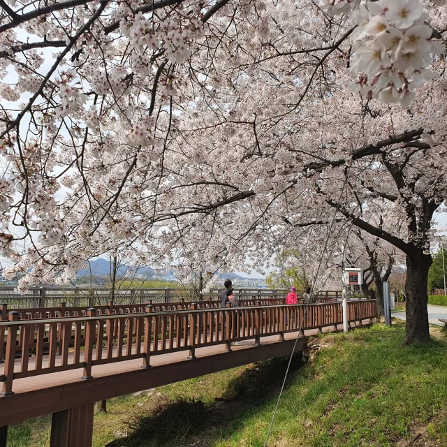 그나저나