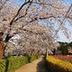 산골사랑