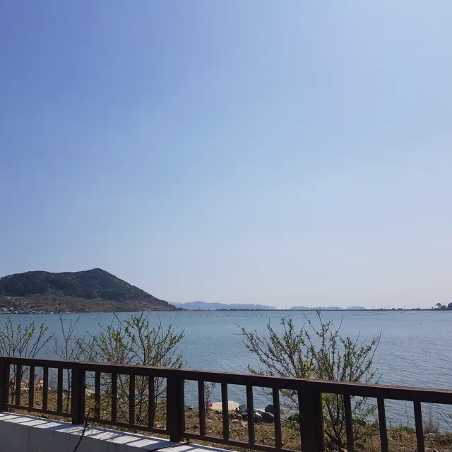 당근당근