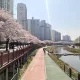 캐롤