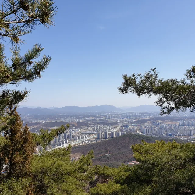 사고팔고가즈아