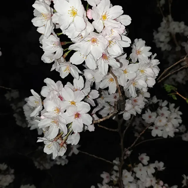 컴돌이