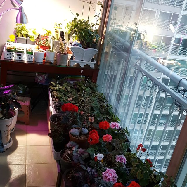 리뷰 프로필 이미지