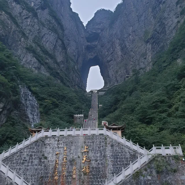혀어그님