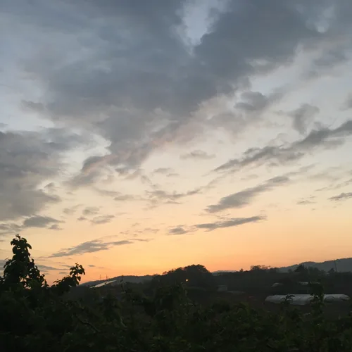 미르맘