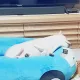 당근당근