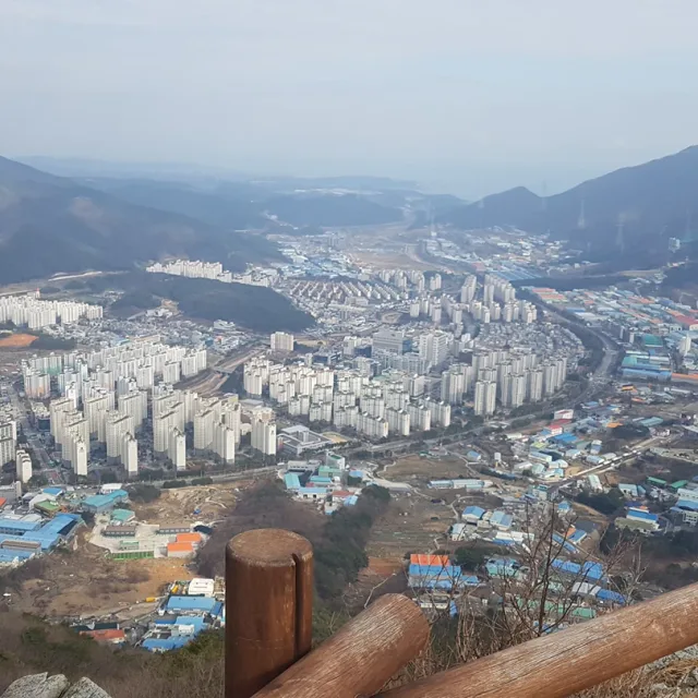 상식이