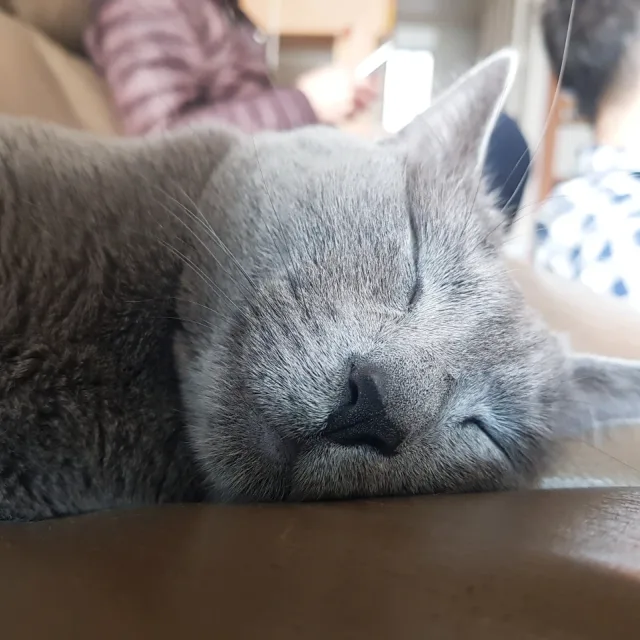만토맘