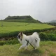 단추상점