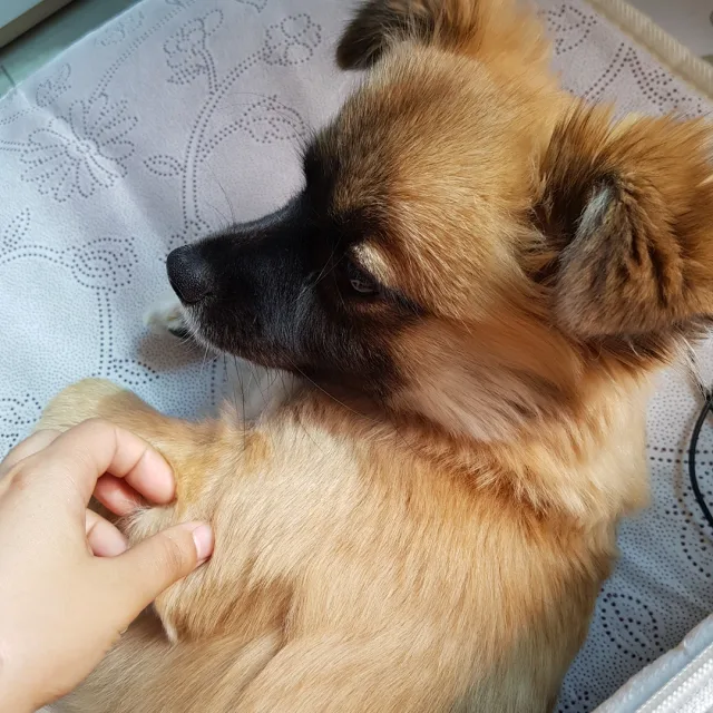 중고중