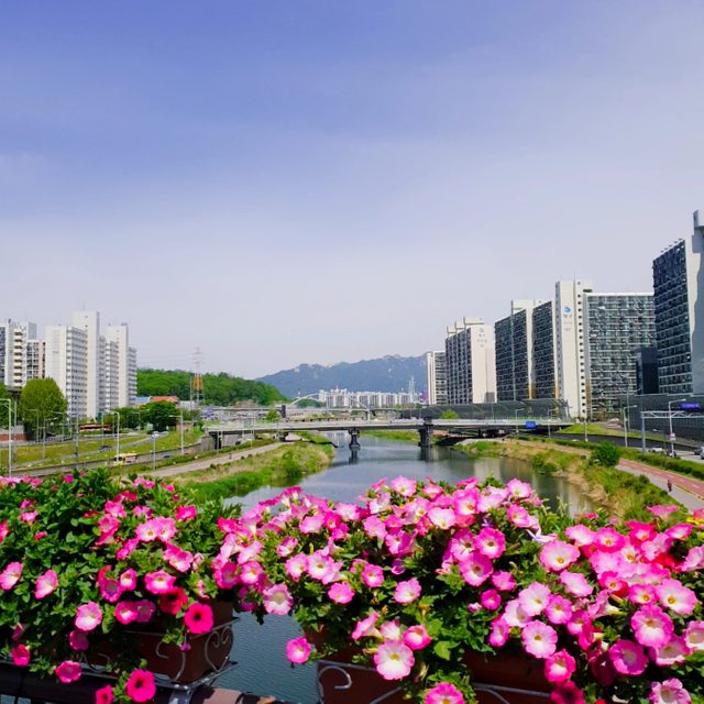 리뷰 프로필 이미지