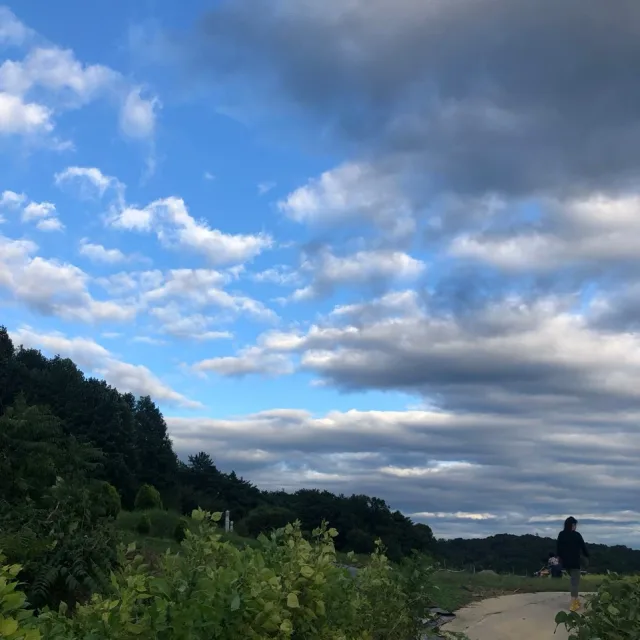 utobird