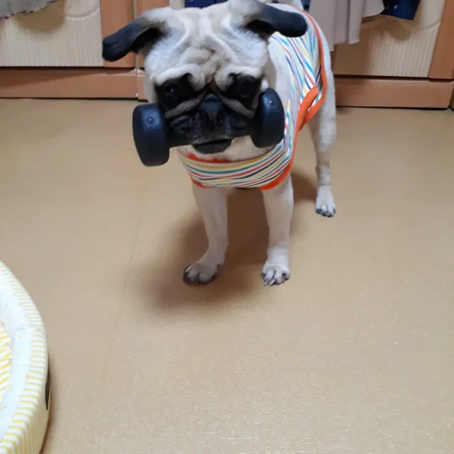 짱구네