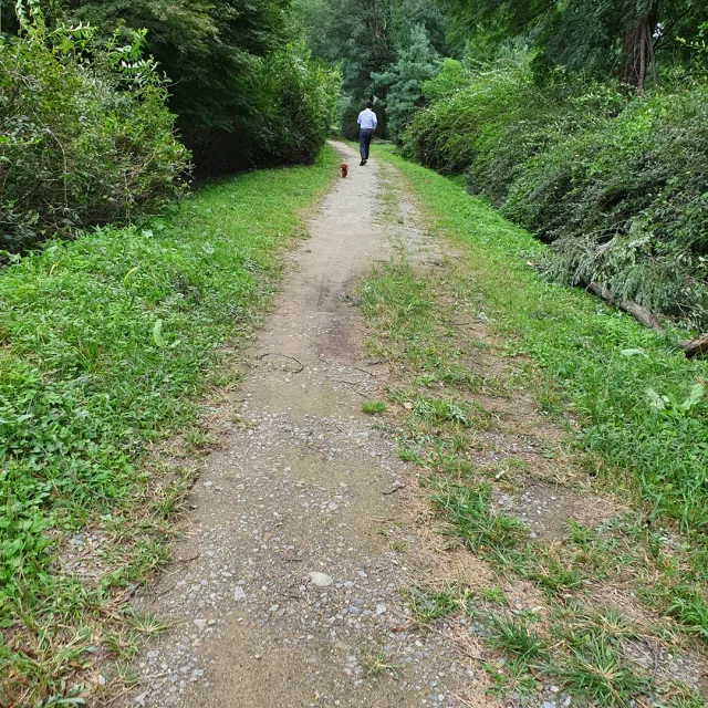 오솔길