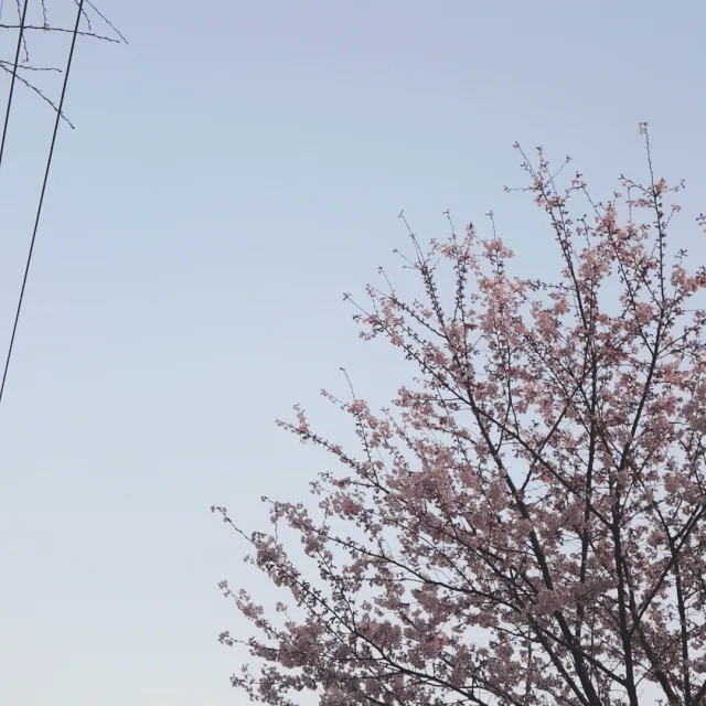 바르다박선생