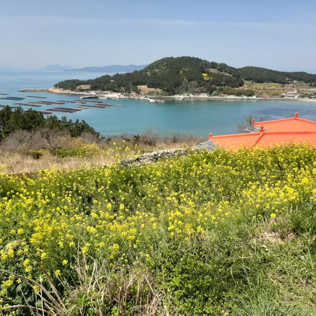 수린이