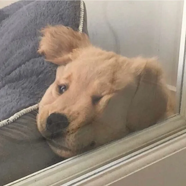 뿜뿡