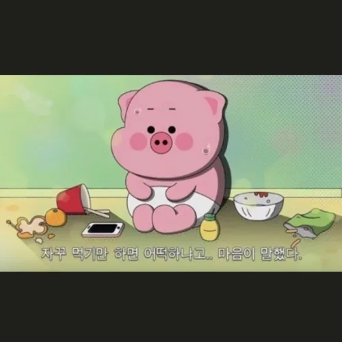 꿀꿀당근