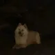 설기