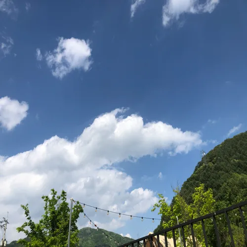 장하진