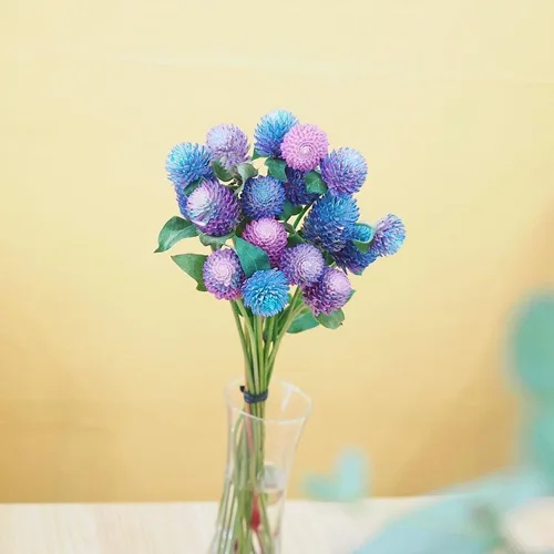 바른쭈니