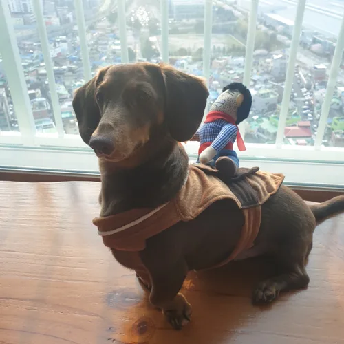 라떼라떼