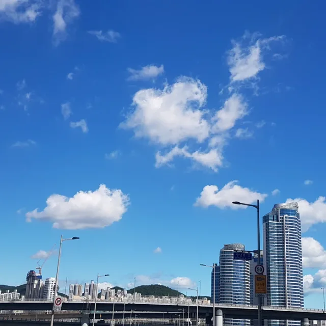 율율맘